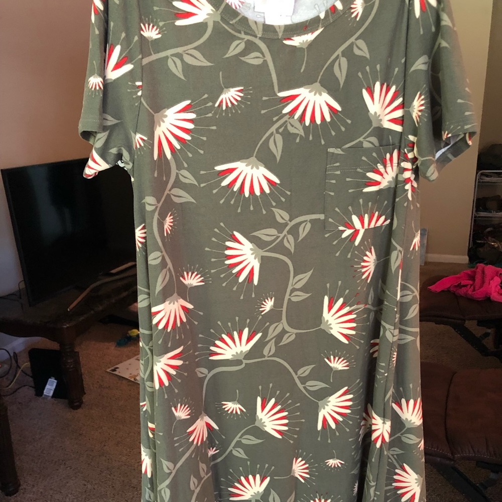 Carly Lularoe dress NWOT